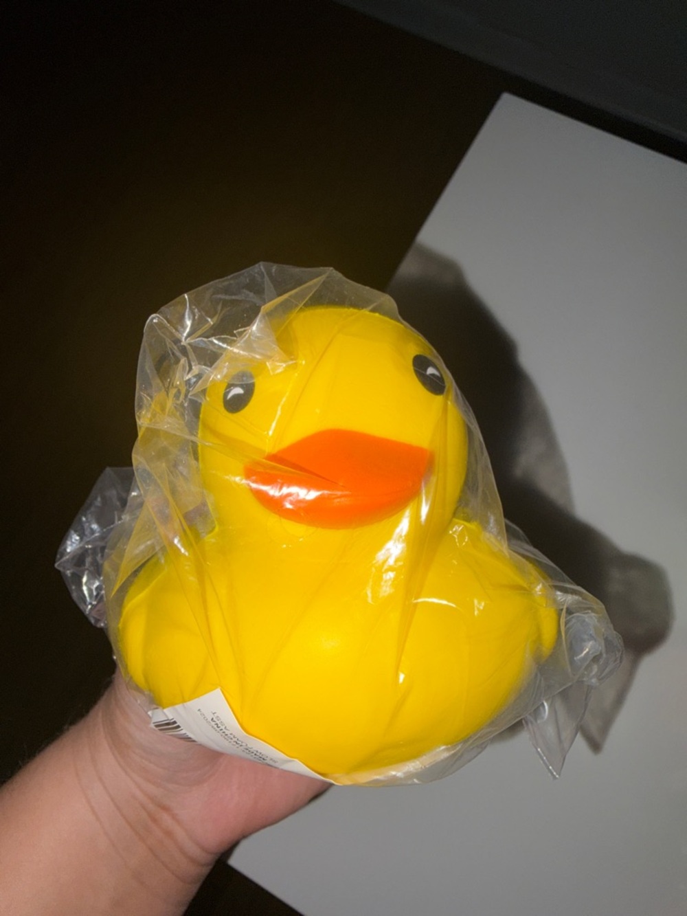 Trendy Brand New Slow Rise Yellow Rubber Duck Squishy🔥